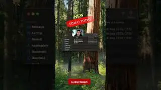 Installare plugin OBS su Mac #contentcreator #dblivetech #youtuber