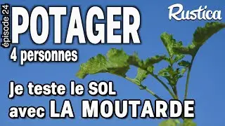 Potager pour 4 Personnes – 24 Je teste la richesse du sol avec de la moutarde