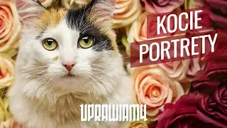 Jak zrobić dobre kocie portrety | Canon R