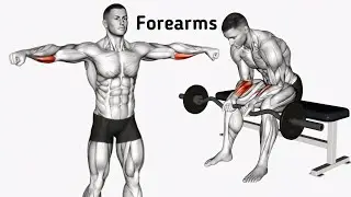 Best Forearms workout at home | 