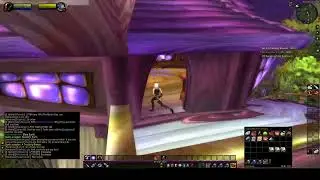 Turtle Wow - HC Vagrant Slow mode No Pet Melee Hunter - part 3