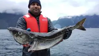 HJØRUNDFJORD TRIP WITH BROTHERS     