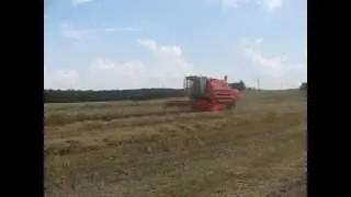 Bizon Gigant Z083