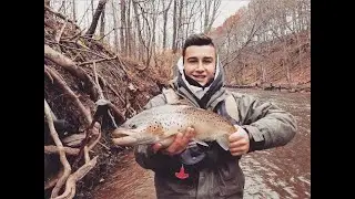 FISHING OAK ORCHARD CREEK, NY - **SURPRISE CATCH**