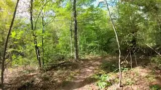 OFTR - SCORRA - Wildman Trails on KTM 690R and Yamaha TTR230
