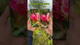 Сравнение OnePlus 15 и Vivo X200 Pro #mobilepapa #shorts