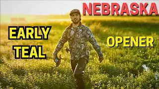 Opening Day Teal Limit in Nebraska | 2024