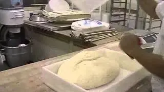 Paneotrad video 2