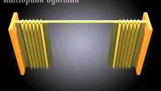Bi Parting