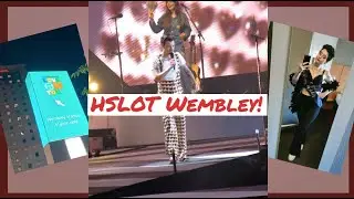 Spending my birthday at a Harry styles show! (HSLOT vlog!)