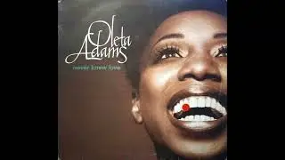 Oleta Adams // Never Knew Love (DT's Mercury Mix)