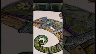 Easy chameleon drawing | Draw a Girgit/chameleon#easy #drawing #art #chameleon #artwork #artist #top