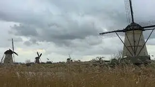 Windmills #trendingshorts 