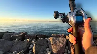 Fishing for MASSIVE black drum!