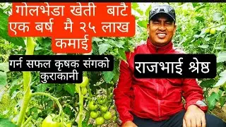 गोलभेडा खेतिबाट एक बर्ष  मै २५ लाखको आम्दानी  गर्न सफल कृषक  संगको कुराकानी farmer rajbhai Shrestha