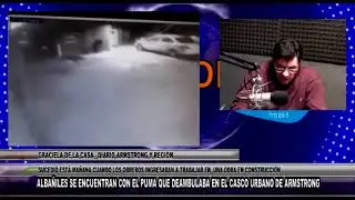 L255   GRACIELA DE LA CASA   DIARIO ARMSTRONG Y REGI&Oacute;N   ALBA&Ntilde;ILES SE ENCUENTRAN CON EL PUMA QUE DEA