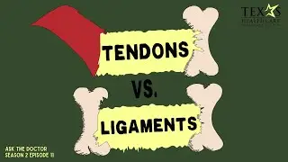 Tendons vs. Ligaments - What's the Difference?