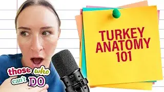 Turkey Anatomy 101