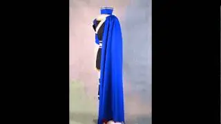 Roy Costume from Fire Emblem Cosplay