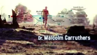 Testosterone Resistance by Malcolm Carruthers, MD