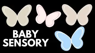 Classic Sensory Play 🦋 | Aesthetic Butterfly Visuals | Calm Baby Music & Shapes | 1 HOUR