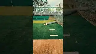 Artificial Turf Insulation -Pets