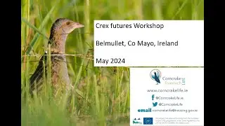 Crex Futures Workshop: Session 3