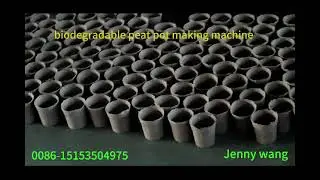 biodegradable peat pot molding machinery suppliers from china
