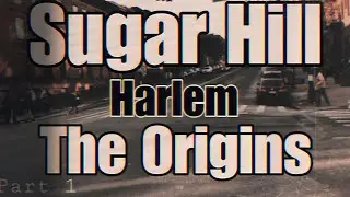 Sugar Hill Harlem Origins | The Untold Story of Black Excellence & Legacy #SugarHill #harlemhistory 