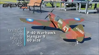P-40 Warhawk / Sorties 18&19 / ground view / Hangar9 RC
