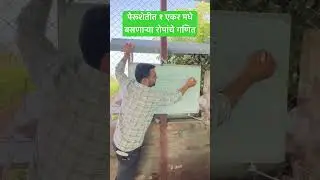 पेरूशेतीत १ एकर मधे बसणाऱ्या रोपांचे गणित #guava #farming #agriculture #farmer