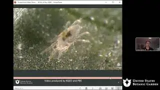 Battling Bugs at the USBG (Online Lecture)