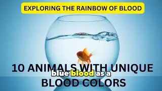 10 ANIMALS WITH UNIQUE BLOOD COLORS  #funfacts #amazingfacts #interestingfacts #dailyvlog