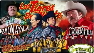 Los Tigres del Norte, Lalo Mora, Cardenales De Nuevo Leon, Los Invasores De Nuevo Leon, Ramon Ayala