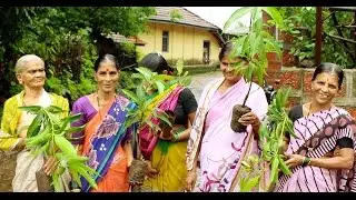 New Orchard Programme