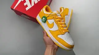 Nike Dunk Low Laser Orange DD1503-800
