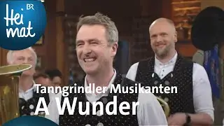 Tanngrindler Musikanten: A Wunder | Wirtshausmusikanten | BR Heimat - die beste Volksmusik