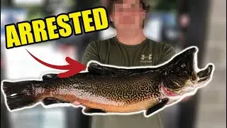 West Virginia Trout Fishing Legend ARRESTED for SNAGGING Giant Trout!