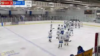 Madison West Regents Hockey vs Sauk Prairie 1/29/2026 - Period 3