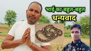 Common cat snake found for the first time in Pritampuri village