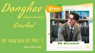 Donghae (동해) Super Junior &ndash; Cracked (틈) | Oh! Young Shim 오! 영심이 OST Part. 2 Lyrics Indo