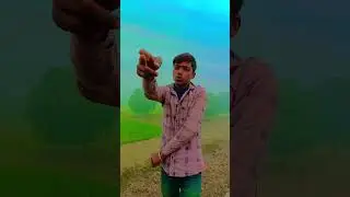 viral video #bollywood #hindisong #love #song #movie #bhojpuri #lifeisbutadream #bhojpurimusic