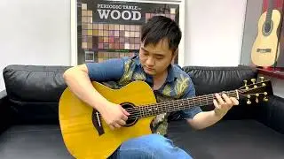 Testing student made guitar "Cedar/Ziricote +Indian Rw neck"