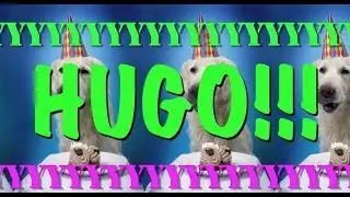 HAPPY BIRTHDAY HUGO! - EPIC Happy Birthday Song