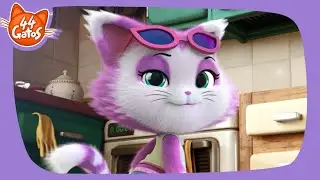 44 Gatos | Latinoam&eacute;rica | &iexcl;El s&uacute;per poder de Milady!