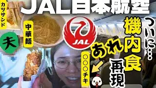【まるでビュッフェ】人気のJAL機内食/○○○チキ🍗まで再現?!/【ヨーロッパ夫婦旅＃1】
