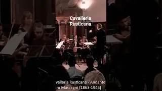 Intermezzo from Cavalleria Rusticana #horstsohm #music #live #shortsmusic