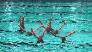 Team de Dolfijn, Nat. Championships NED 2013, tech