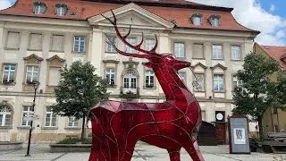 Planowane inwestycje w 2025 w Jeleniej G&oacute;rze