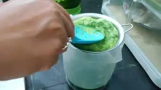 Cara membuat jus pandan alami untuk aneka resep kue